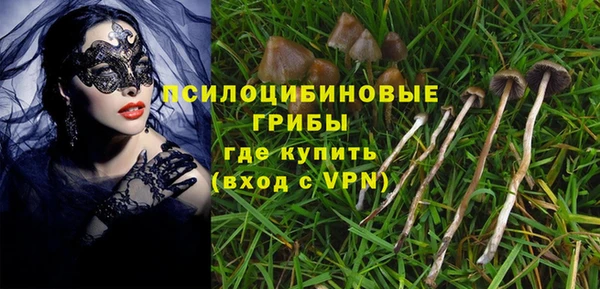 герыч Алексин