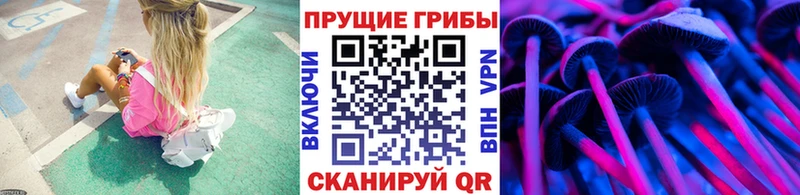 Галлюциногенные грибы Cubensis  сайты даркнета официальный сайт  Лахденпохья 